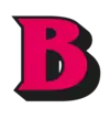 Bongbongs.co.uk Logo