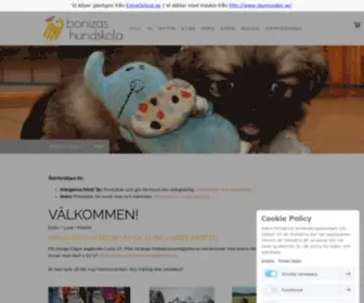 Bonizashundskola.se(Bonizas Hundskola) Screenshot