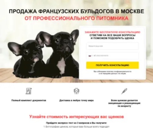 Bonniebullz.ru(Купить французских бульдогов из питомника в г) Screenshot