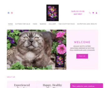 Bonniescottscattery.com.au(BONNIE SCOTTS CATTERY) Screenshot