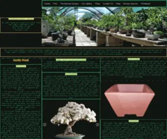 Bonsaisa.co.za(Mikibu Bonsai) Screenshot