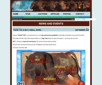 Bonsmara.com.na(Hartebeestloop Stud) Screenshot