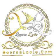 Boorseloole.com Logo