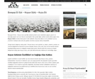 Borayazetsut.com(ANKARA Koyun Sütü) Screenshot