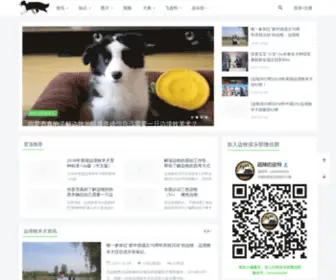 Bordercollie.cn(边境牧羊犬) Screenshot