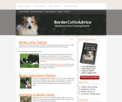 Bordercollieadvice.com(Bordercollieadvice) Screenshot