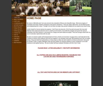 Bordercollies.com.au(Border Collies Gold Coast and Brisbane) Screenshot