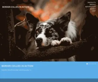 Bordercolliesinaction.com(Shop Border Collies In Action) Screenshot