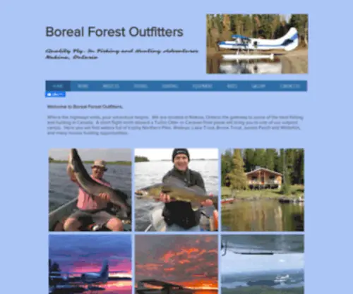 Borealforestoutfitters.com(Boreal Forest Outfitters) Screenshot