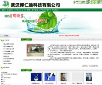 Borendy.com(武汉博仁迪科技有限公司) Screenshot