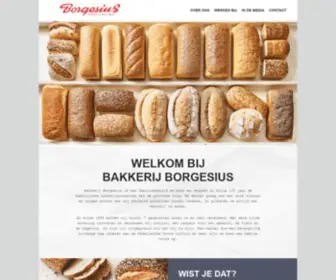 Borgesius.nl(Bakkerij Borgesius) Screenshot