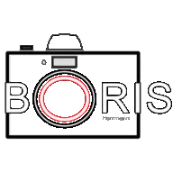 Boris-Herrmann.de Logo