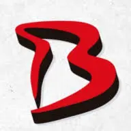 Borkis.com Logo