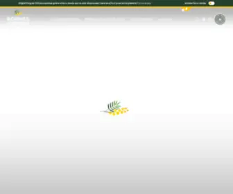 Bormeslesmimosas.com(Bormes-les-Mimosas Tourisme) Screenshot