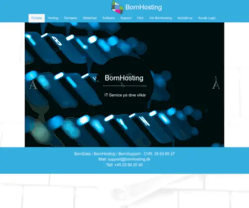 Borndata.dk(Forside) Screenshot
