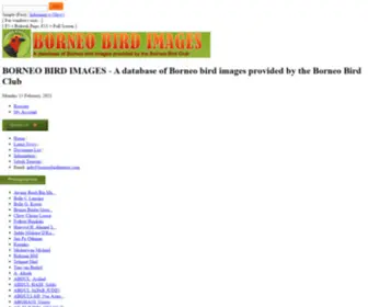 Borneobirdimages.com(Borneo Bird Photo) Screenshot