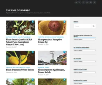 Borneoficus.info(A guide to Borneo's 150 species of wild fig trees) Screenshot