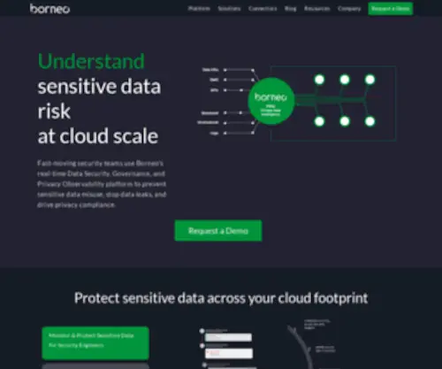 Borneo.io(Real-time privacy observability and data security) Screenshot