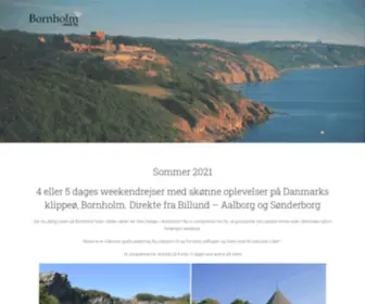 Bornholmmedfly.dk(Fly) Screenshot