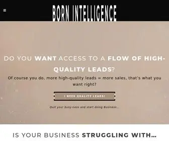 Bornintelligence.com(BORN Intelligence) Screenshot