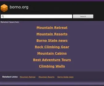 Borno.org(Borno) Screenshot