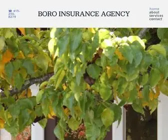 Boroinsagency.com(Boro Insurance Agency) Screenshot