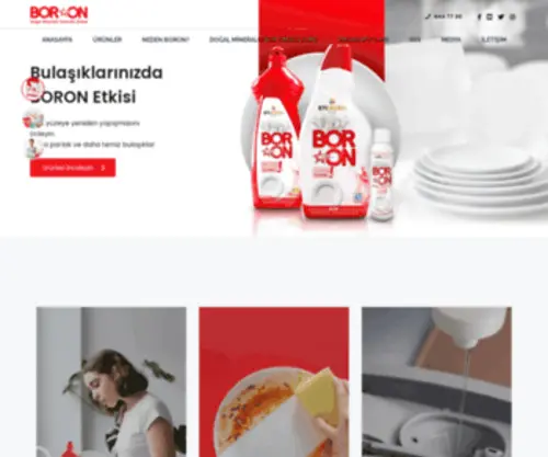 Boron.com.tr(Doğal Mineralli Temizlik Ürünleri) Screenshot
