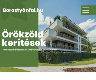 Borostyanfal.hu(Főoldal) Screenshot