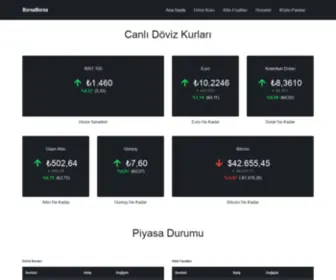 BorsaBorsa.net(Canlı Döviz Kurları) Screenshot