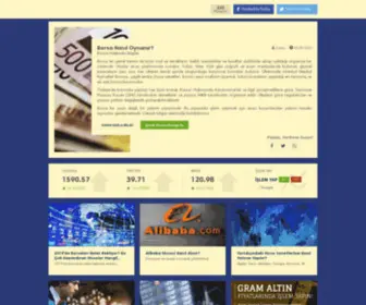 Borsanasiloynanir.com(Borsa Nedir) Screenshot