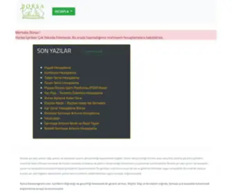 Borsaprogrami.com(Borsa Programı) Screenshot