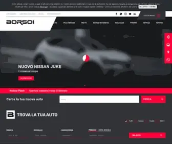 Borsoi.net(Renault, Dacia, Nissan, Yamaha, Husqvarna e multibrand) Screenshot