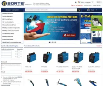 Borte.com.cn(China Leading One) Screenshot