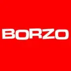 Borzo.com.ua Favicon