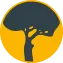 Boschapi.com Logo