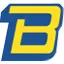 Bossmotorbodies.co.nz Logo