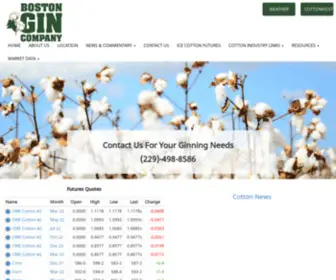 Bostonginco.com(Boston Gin Company) Screenshot