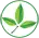 Botania.vn Favicon