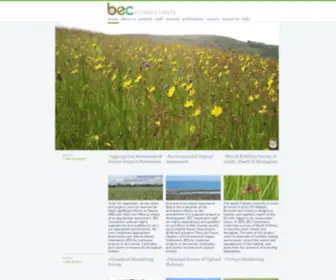 Botanicalenvironmental.com(BEC Consultants) Screenshot