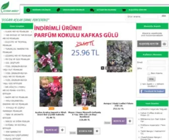 Botanikmarket.org(Meyve fidanı) Screenshot