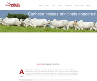 Boticao.com.br(Boticão) Screenshot