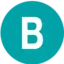 Botondraduly.eu Favicon