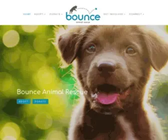 Bounceanimalrescue.org(Bounce Animal Rescue) Screenshot