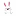 Bouncingbunny.in Favicon
