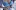 Bouncycastleco.com Favicon