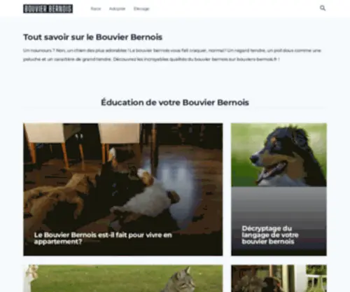 Bouviers-Bernois.fr(Bouvier Bernois) Screenshot