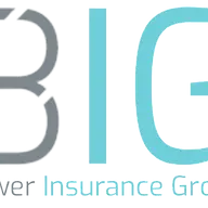 Bowerinsurancegroup.co.za Favicon