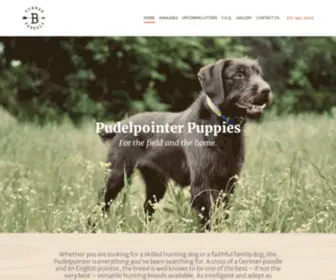 Bowmankennels.com(Pudelpointer Puppies Litter in TN) Screenshot