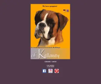 Boxerkellaney.com(Boxerzucht of Kellaney züchtet Boxer) Screenshot