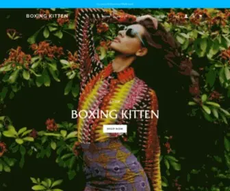 Boxingkitten.com(Boxing Kitten) Screenshot